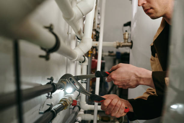Best Clogged Drain Plumber  in Roscoe, TX