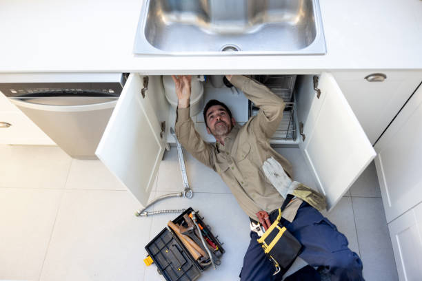 Best Residential Plumbing Services  in Roscoe, TX
